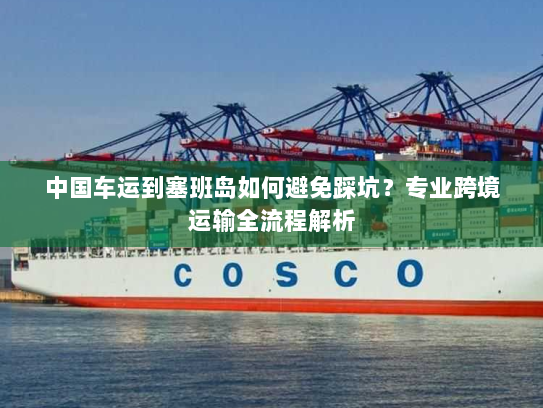 中国车运到塞班岛如何避免踩坑？专业跨境运输全流程解析
