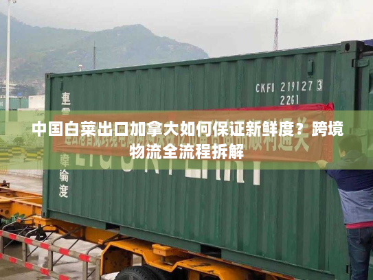 中国白菜出口加拿大如何保证新鲜度？跨境物流全流程拆解