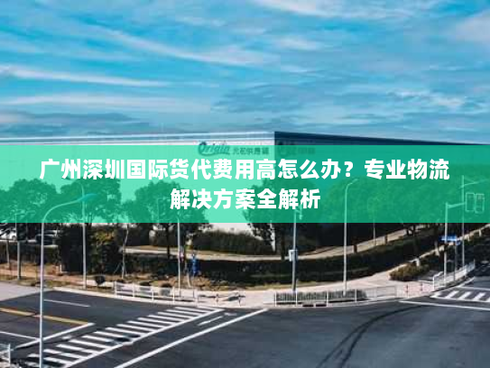 广州深圳国际货代费用高怎么办?专业物流解决方案全解析 广州深圳国际货代费用高怎么办?专业物流解决方案全解析
