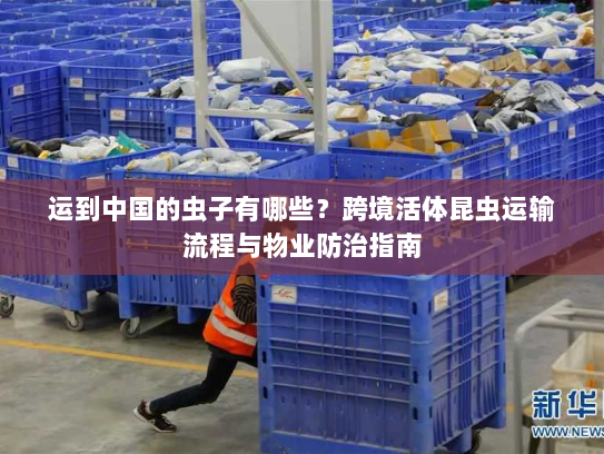 运到中国的虫子有哪些？跨境活体昆虫运输流程与物业防治指南