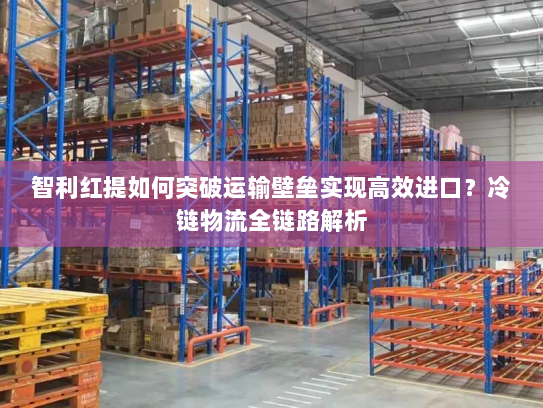智利红提如何突破运输壁垒实现高效进口？冷链物流全链路解析