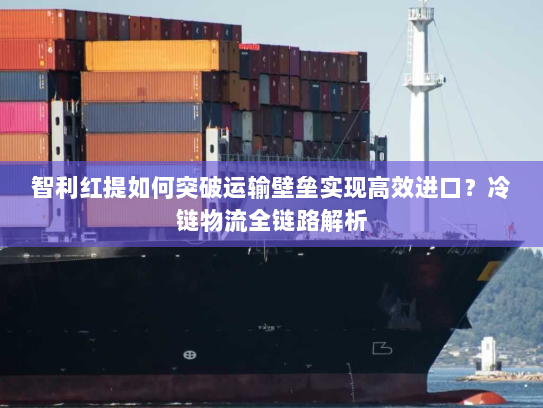 智利红提如何突破运输壁垒实现高效进口？冷链物流全链路解析