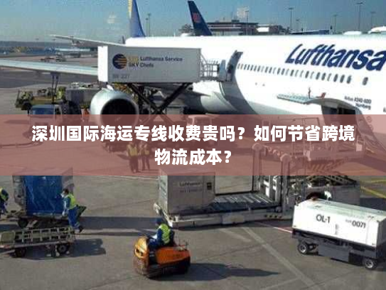 深圳国际海运专线收费贵吗？如何节省跨境物流成本？