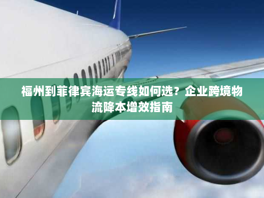 福州到菲律宾海运专线如何选？企业跨境物流降本增效指南