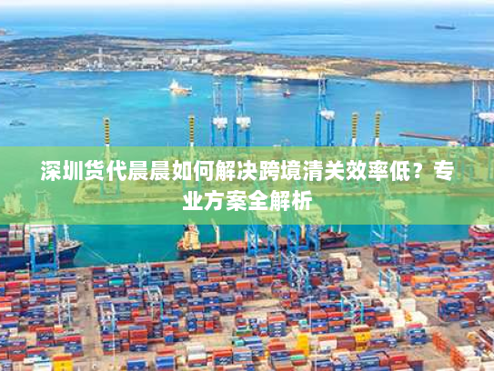 深圳货代晨晨如何解决跨境清关效率低？专业方案全解析