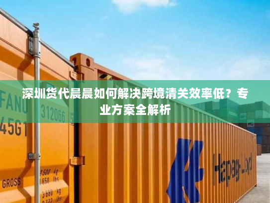 深圳货代晨晨如何解决跨境清关效率低？专业方案全解析