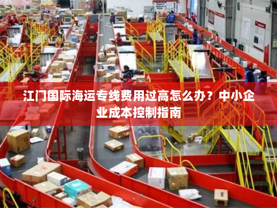 江门国际海运专线费用过高怎么办？中小企业成本控制指南