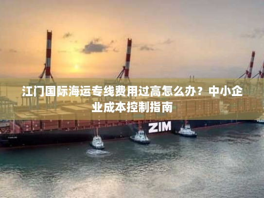 江门国际海运专线费用过高怎么办？中小企业成本控制指南