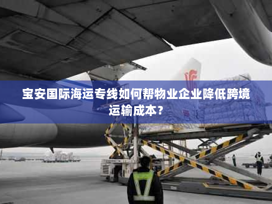 宝安国际海运专线如何帮物业企业降低跨境运输成本？