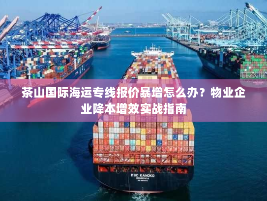茶山国际海运专线报价暴增怎么办？物业企业降本增效实战指南