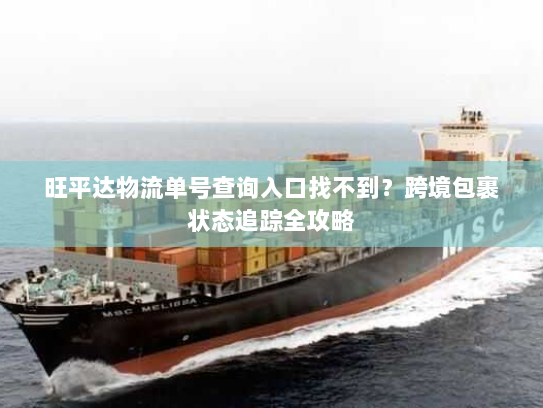 旺平达物流单号查询入口找不到？跨境包裹状态追踪全攻略