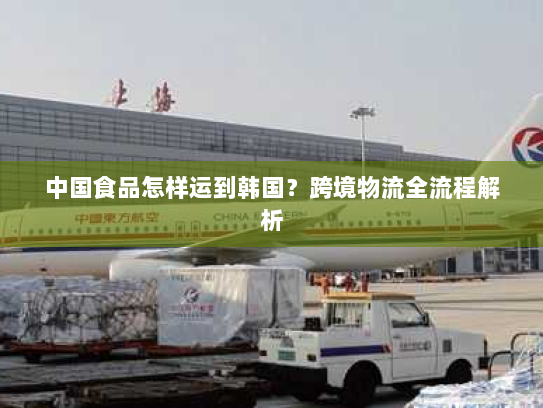 中国食品怎样运到韩国?跨境物流全流程解析 中国食品怎样运到韩国?跨境物流全流程解析