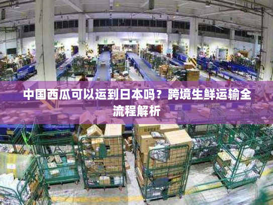 中国西瓜可以运到日本吗?跨境生鲜运输全流程解析 中国西瓜可以运到日本吗?跨境生鲜运输全流程解析