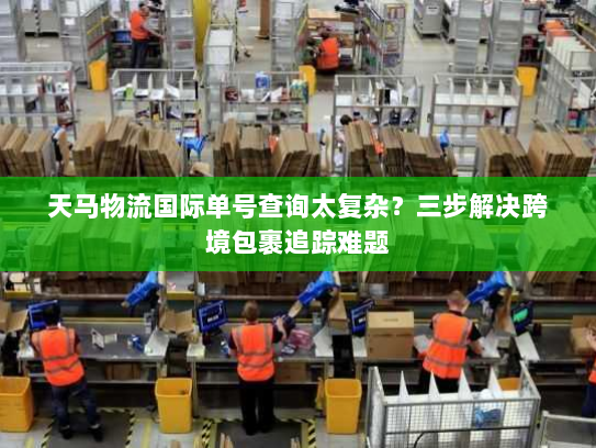 天马物流国际单号查询太复杂？三步解决跨境包裹追踪难题