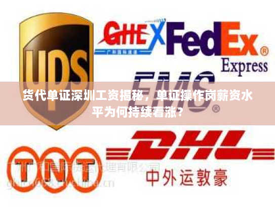 货代单证深圳工资揭秘，单证操作岗薪资水平为何持续看涨？