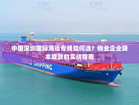 中国深圳国际海运专线如何选？物业企业降本增效的实战指南