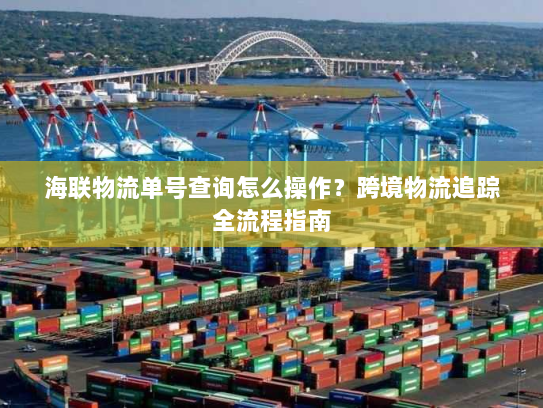 海联物流单号查询怎么操作？跨境物流追踪全流程指南