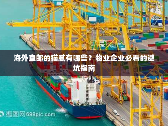 海外直邮的猫腻有哪些?物业企业必看的避坑指南 海外直邮的猫腻有哪些?物业企业必看的避坑指南