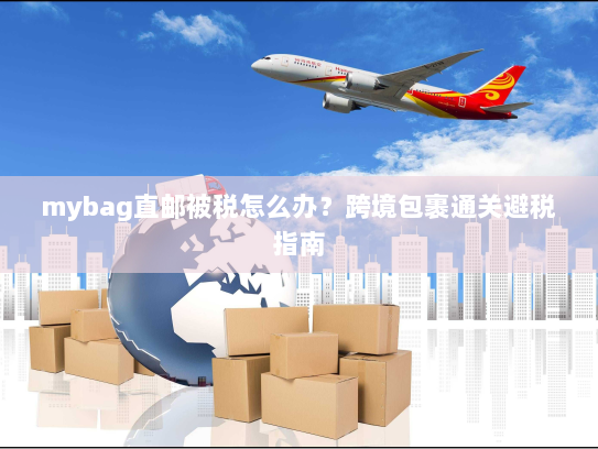 mybag直邮被税怎么办？跨境包裹通关避税指南