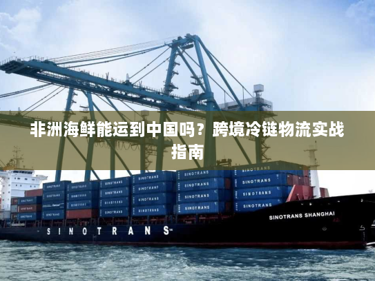 非洲海鲜能运到中国吗？跨境冷链物流实战指南
