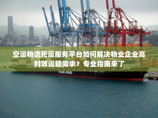 空运物流托运服务平台如何解决物业企业高时效运输需求？专业指南来了