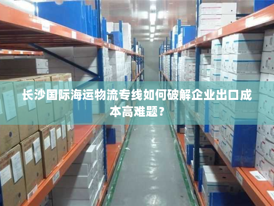 长沙国际海运物流专线如何破解企业出口成本高难题？