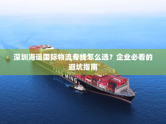 深圳海运国际物流专线怎么选?企业必看的避坑指南 深圳海运国际物流专线怎么选?企业必看的避坑指南