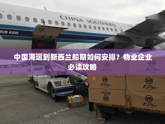 中国海运到新西兰船期如何安排？物业企业必读攻略