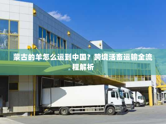 蒙古的羊怎么运到中国?跨境活畜运输全流程解析 蒙古的羊怎么运到中国?跨境活畜运输全流程解析