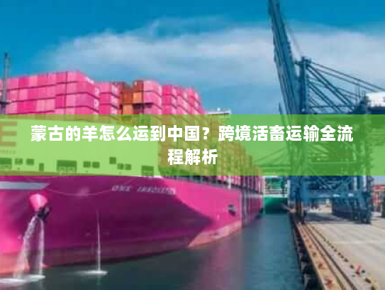 蒙古的羊怎么运到中国？跨境活畜运输全流程解析