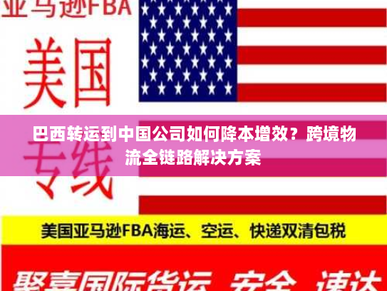 巴西转运到中国公司如何降本增效？跨境物流全链路解决方案