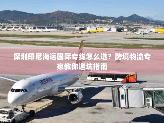 深圳印尼海运国际专线怎么选？跨境物流专家教你避坑指南