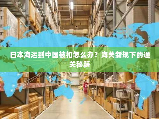 日本海运到中国被扣怎么办？海关新规下的通关秘籍