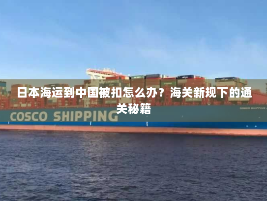 日本海运到中国被扣怎么办？海关新规下的通关秘籍