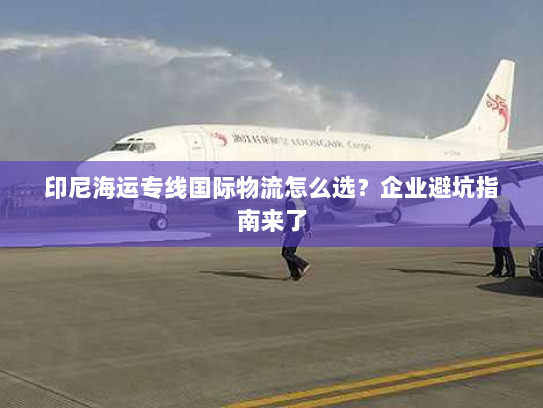 印尼海运专线国际物流怎么选？企业避坑指南来了