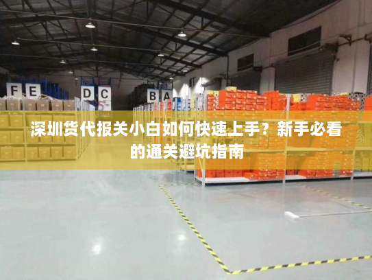 深圳货代报关小白如何快速上手?新手必看的通关避坑指南 深圳货代报关小白如何快速上手?新手必看的通关避坑指南