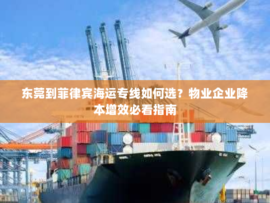 东莞到菲律宾海运专线如何选？物业企业降本增效必看指南