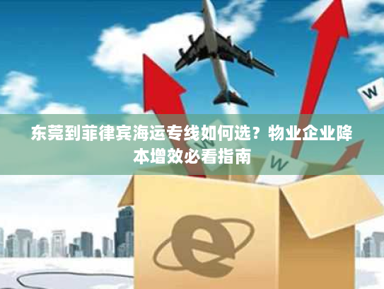 东莞到菲律宾海运专线如何选？物业企业降本增效必看指南