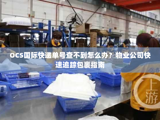 OCS国际快递单号查不到怎么办？物业公司快速追踪包裹指南