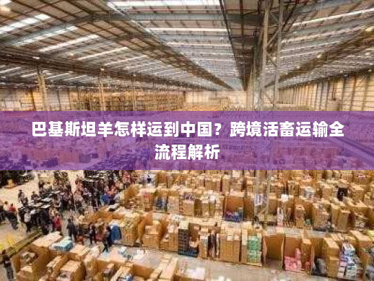 巴基斯坦羊怎样运到中国?跨境活畜运输全流程解析 巴基斯坦羊怎样运到中国?跨境活畜运输全流程解析