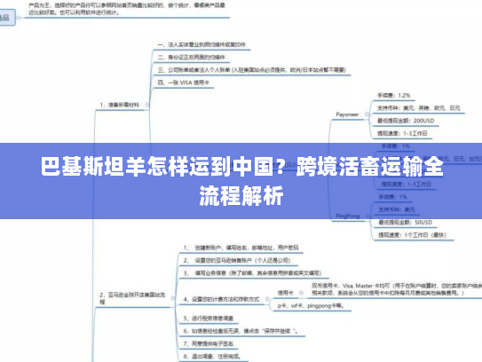 巴基斯坦羊怎样运到中国?跨境活畜运输全流程解析 巴基斯坦羊怎样运到中国?跨境活畜运输全流程解析