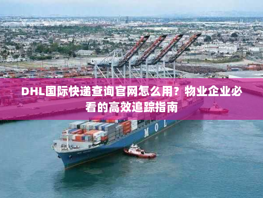 DHL国际快递查询官网怎么用？物业企业必看的高效追踪指南
