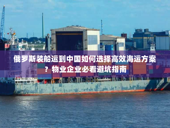 俄罗斯装船运到中国如何选择高效海运方案？物业企业必看避坑指南