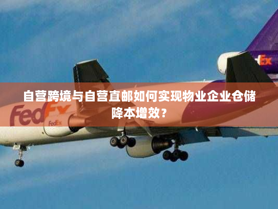 自营跨境与自营直邮如何实现物业企业仓储降本增效？