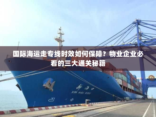 国际海运走专线时效如何保障?物业企业必看的三大通关秘籍 国际海运走专线时效如何保障?物业企业必看的三大通关秘籍
