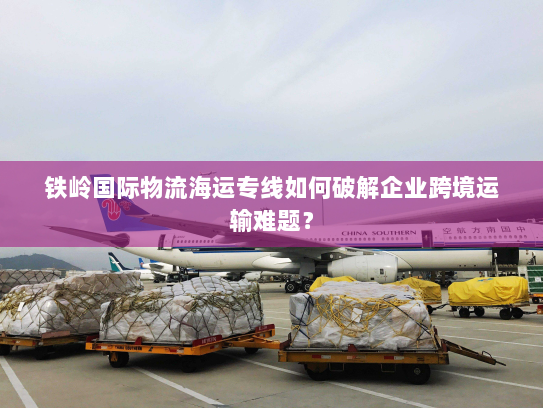 铁岭国际物流海运专线如何破解企业跨境运输难题? 铁岭国际物流海运专线如何破解企业跨境运输难题?