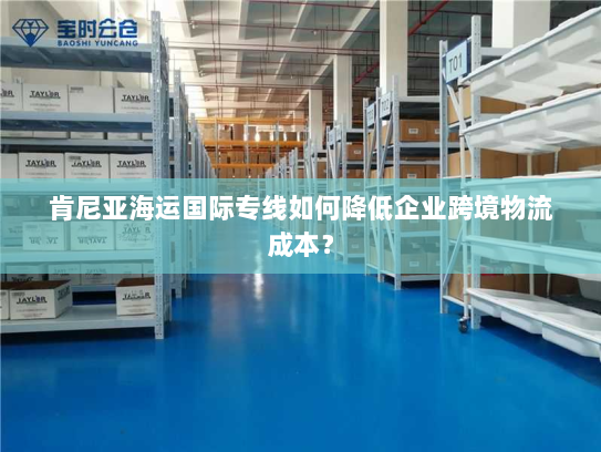 肯尼亚海运国际专线如何降低企业跨境物流成本? 肯尼亚海运国际专线如何降低企业跨境物流成本?