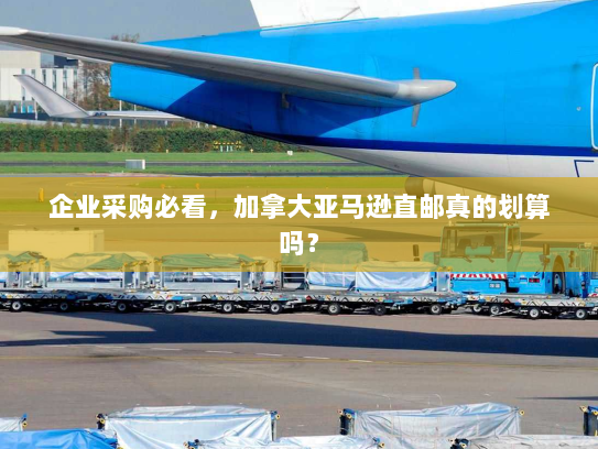 企业采购必看,加拿大亚马逊直邮真的划算吗? 企业采购必看,加拿大亚马逊直邮真的划算吗?