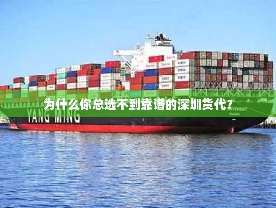 为什么你总选不到靠谱的深圳货代？