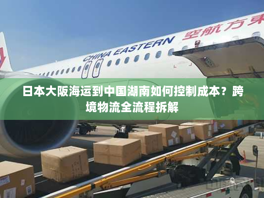 日本大阪海运到中国湖南如何控制成本？跨境物流全流程拆解